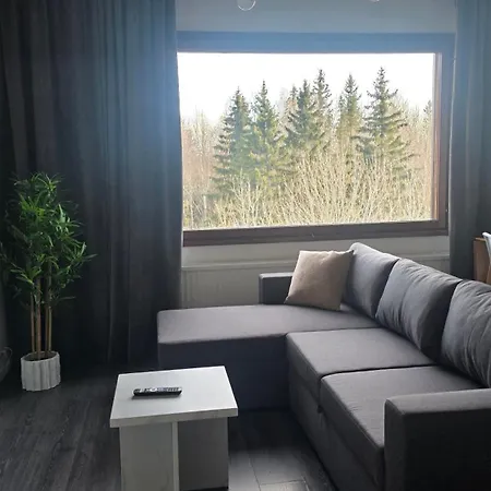Ruths Kolibri Apartment Kouvola